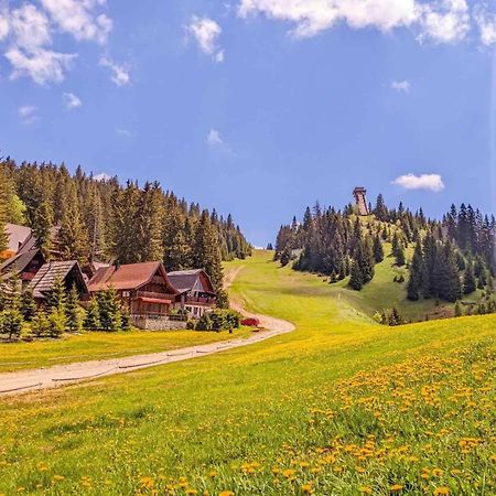 Alpin Apartments ヴラシチ エクステリア 写真
