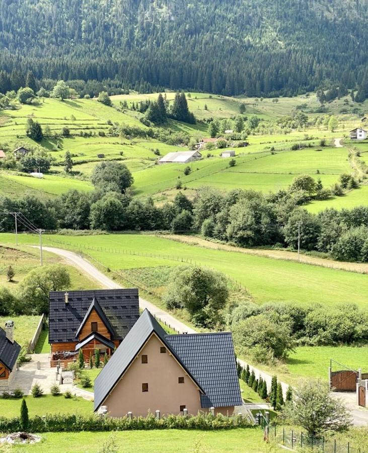 Alpin Apartments ヴラシチ エクステリア 写真